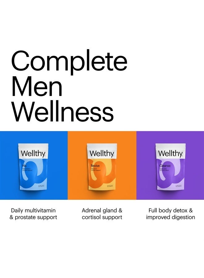 WELLTHY Enhance Testosterone Booster and Estrogen Blocker - Testosterone Supplements for Men - Improve Stamina - 90 Testosterone Pills - Image 3