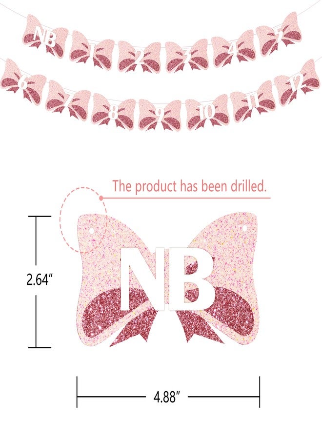 Aukolass Pink Bow 1st Birthday Photo Banner from Newborn to 12 Months,Baby Girl Monthly Milestones Garland for First Birthday Party Decoration (Pink) - Image 2