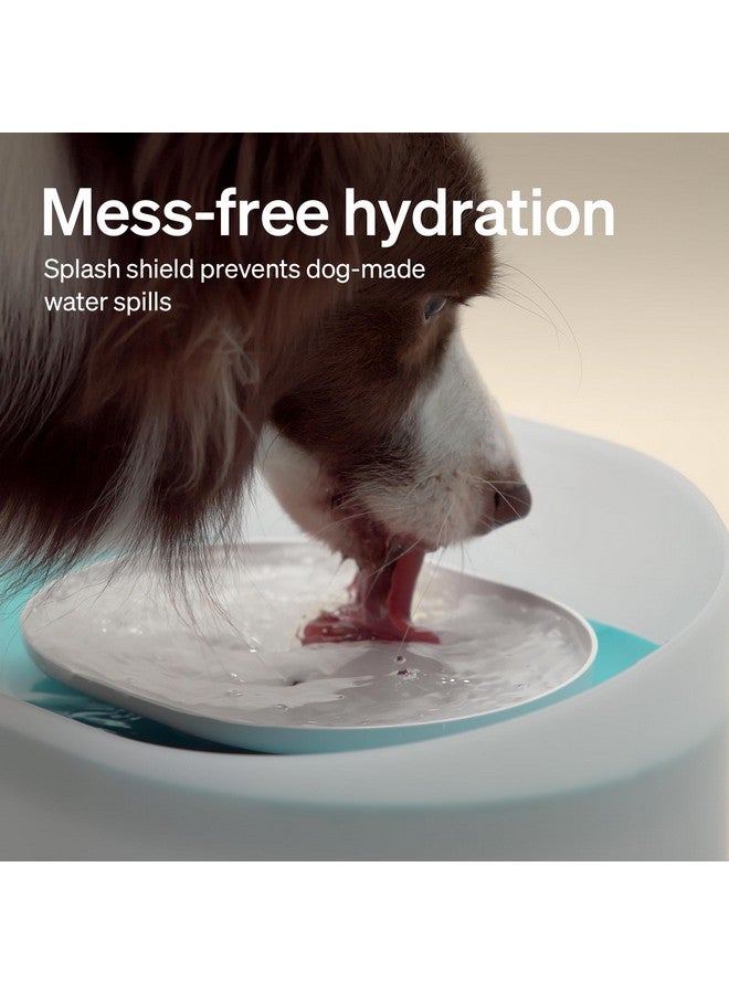 PETLIBRO PETLIBRO Dog Water Fountain, 2.1Gal/8L Capsule Dog Fountain for Medium to Large Dogs, Anti-Splash Dog Water Bowl Dispenser, Super Quiet Pet Water Fountain, Great for Dogs Cats and Multi-Pet Home  - Image 3