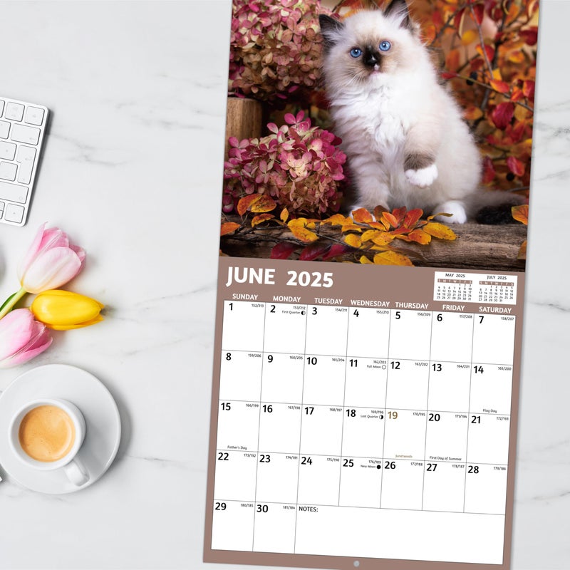 GoiUnlt 2026 Calendar, 2026 Wall Calendar, Cute Cats Calendar 2026. Jan. 2026 - Dec. 2026, 12" x 24" (Open), 12-Month Cats ï¼† Flower Wall Calendar, Large Blocks, Thick Paper, Hanging Holes, Ample Writing Space - Image 2