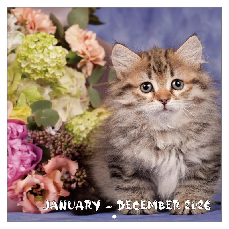 GoiUnlt 2026 Calendar, 2026 Wall Calendar, Cute Cats Calendar 2026. Jan. 2026 - Dec. 2026, 12" x 24" (Open), 12-Month Cats ï¼† Flower Wall Calendar, Large Blocks, Thick Paper, Hanging Holes, Ample Writing Space - Image 1