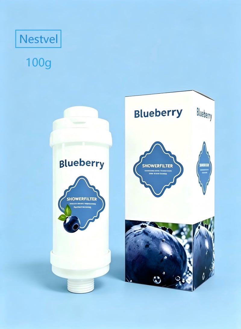 Nestvel Vitamin Scented Beads shower Fliter, Anti Hair Loss, Prevents Dry Skin, Chlorine Removal, Rust Removal, Relaxing Aromatherapy, Non-Toxic (Blueberry scent),100g - Image 1