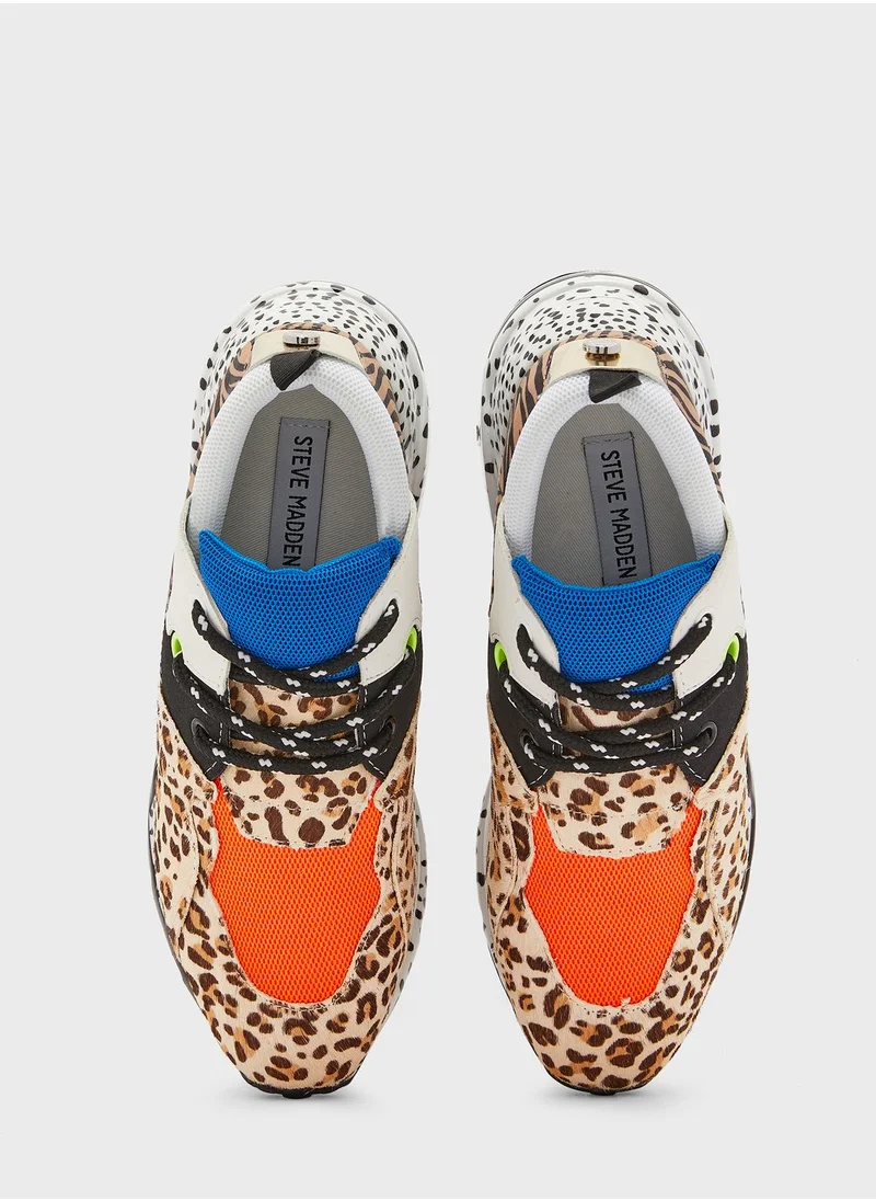 STEVE MADDEN Cliff Low Top Sneakers