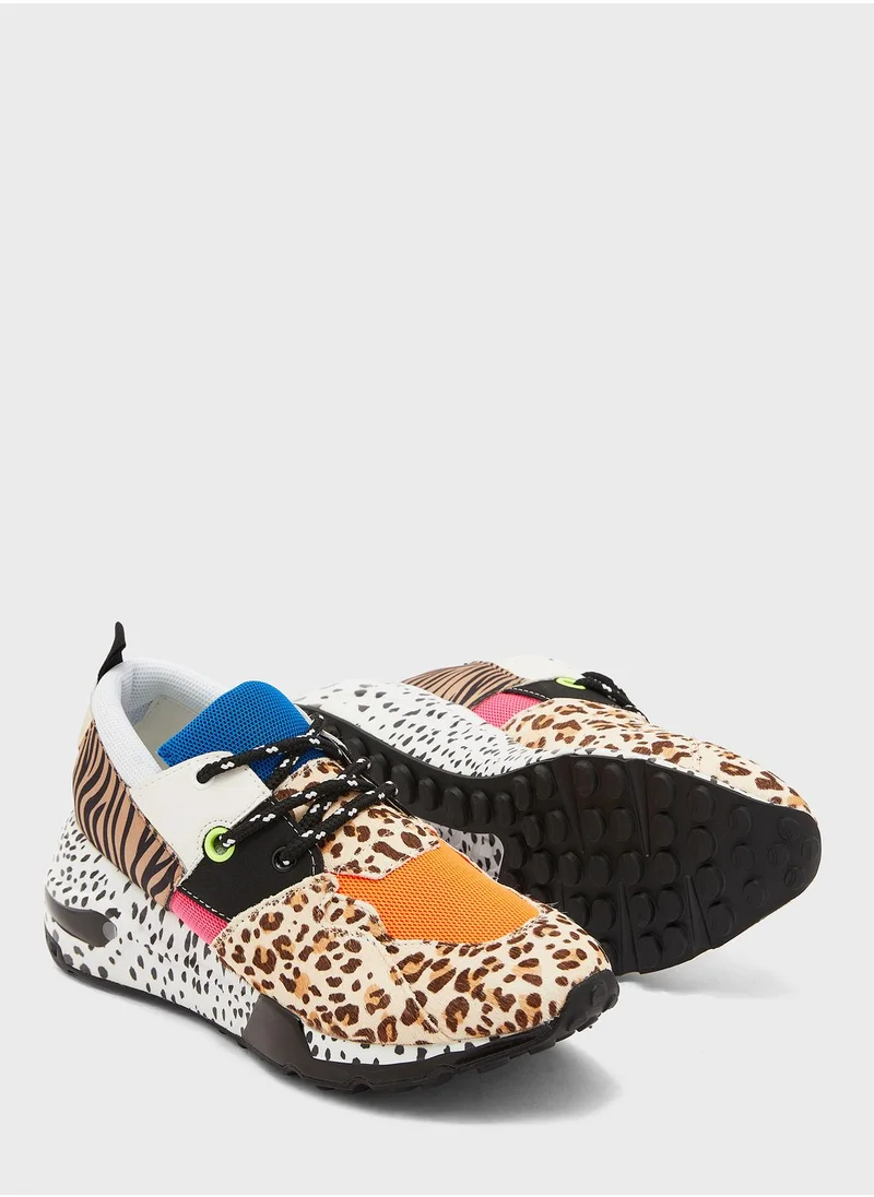 STEVE MADDEN Cliff Low Top Sneakers