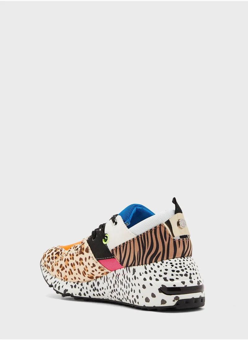 STEVE MADDEN Cliff Low Top Sneakers