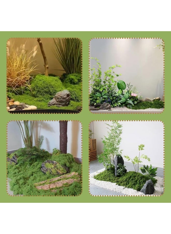 Forest Home 100g Moss Grass Perfectly Simulates Artificial Moss Fake Green Grass for Centerpieces Home Kitchen Garden Decor Preserved Forest Moss - Image 4