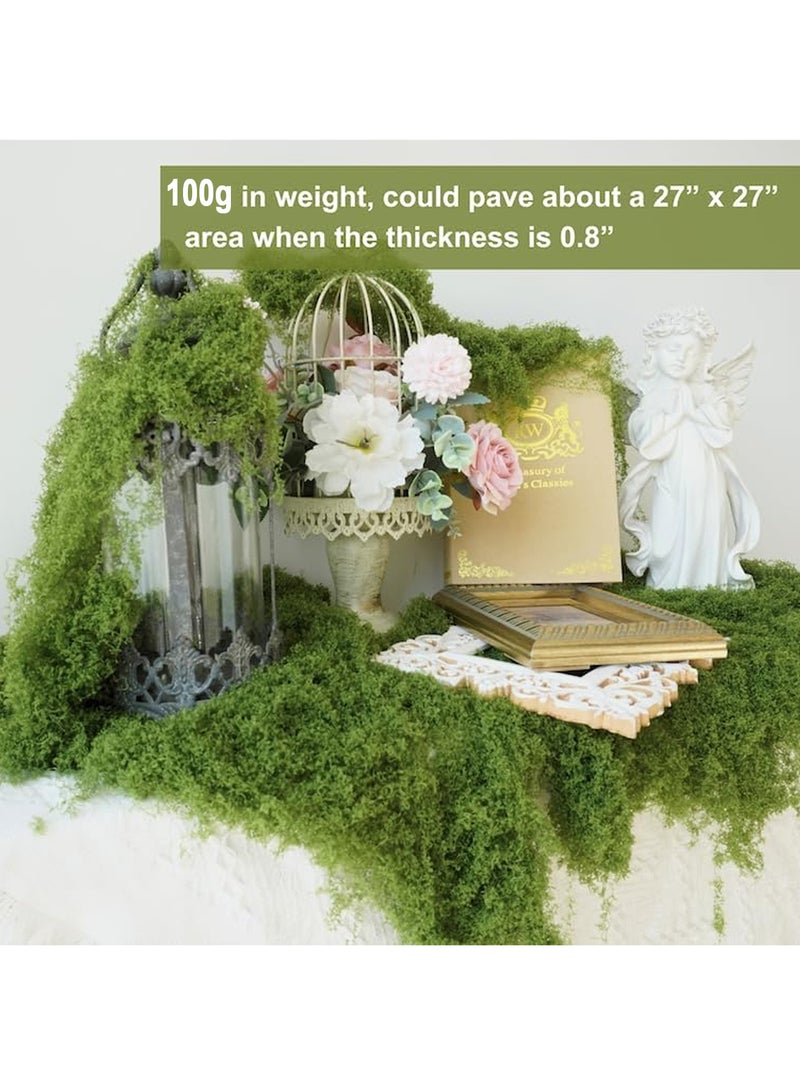 Forest Home 100g Moss Grass Perfectly Simulates Artificial Moss Fake Green Grass for Centerpieces Home Kitchen Garden Decor Preserved Forest Moss - Image 2