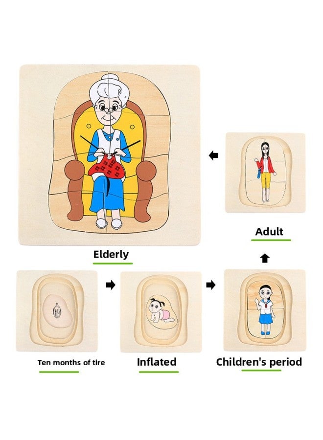 دجاجة فراشة عباد الشمس تنوير مونتيسوري التعليم المبكر للأطفال الذين تتراوح أعمارهم بين 1-3 سنوات عملية نمو خشبية لغز متعدد الطبقات - اللون: تنمو النساء. - Image 1