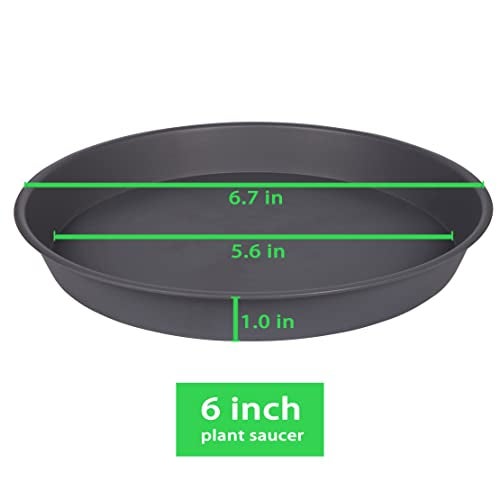Bleuhome 6 Pack Planter Saucer Tray Gray, 4 6 8 10 12 13 15 17 19 inch Pot Saucers, Heavy Duty Plastic Plant Saucers for Indoors, Plant Drip Tray, Plant Trays for pots Planter (6 inch, Cement) - Image 2