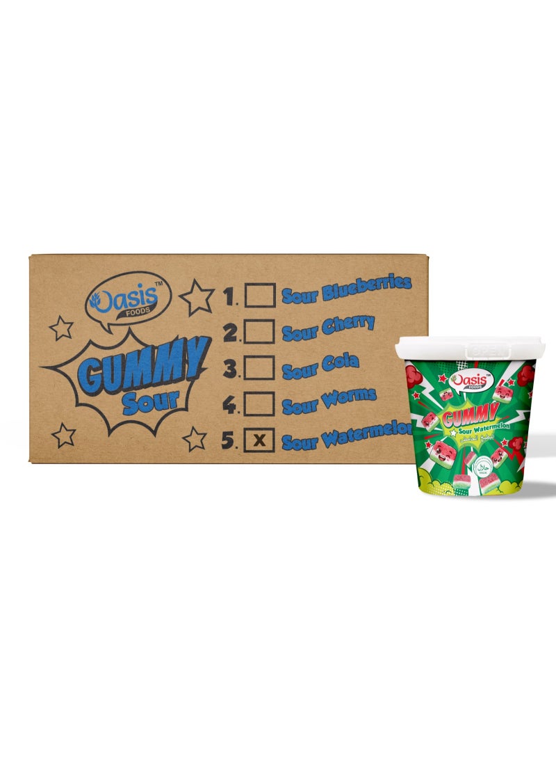 Oasis Foods Sour Watermelon Gummy Candy Tubs (Pack of 24)