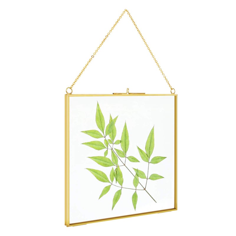 TLBTEK 8x8 inch Brass Hanging Photo FrameDouble Glass Frame for Pressed FlowersClear DIY Vintage Artwork Display Frame Wall Mounted Photos Frame