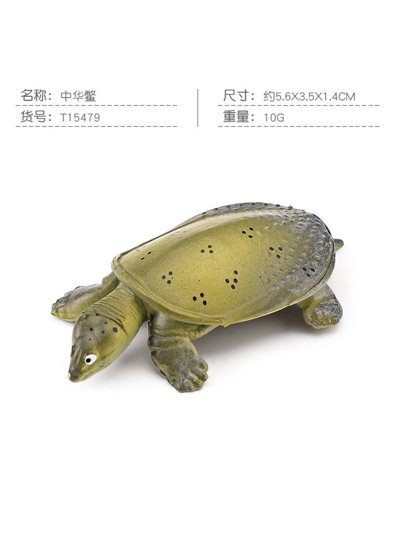 Realistic Amphibian Turtle Model Toy T15479 Trionyx sinensis 10g