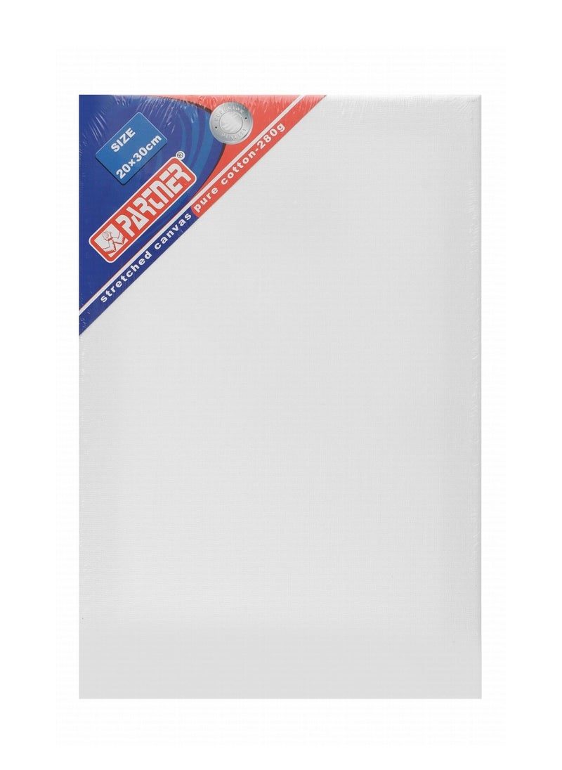 PARTNER - Stretched Canvas Board 20x30cm A4 Size 280gsm Thickness - Image 1