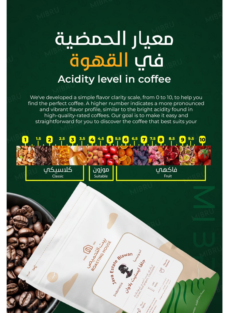 The Roasting House مجموعة حبوب قهوه طقم 3 أكياس بن قهوة فاخرة غير مطحونة – قهوة مختصة للإسبريسو وV60 وكمكس وماكينة القهوة المقطرة والمكبس الفرنسي وأجهزة تحضير القهوة اليدوية - Image 5