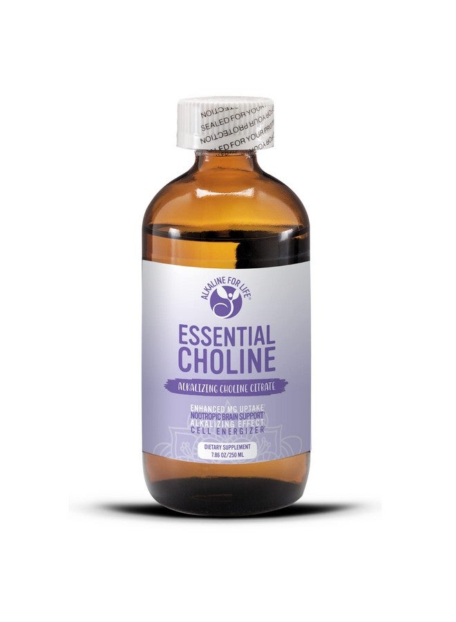 Alkaline for Life كولين سترات أساسي - مكملات كولين سائلة للدماغ والذاكرة والتركيز - 650 ملغ مكمل كولين - كولين سائل قلوي متاح حيوياً يعزز مكملات المغنيسيوم - Image 1