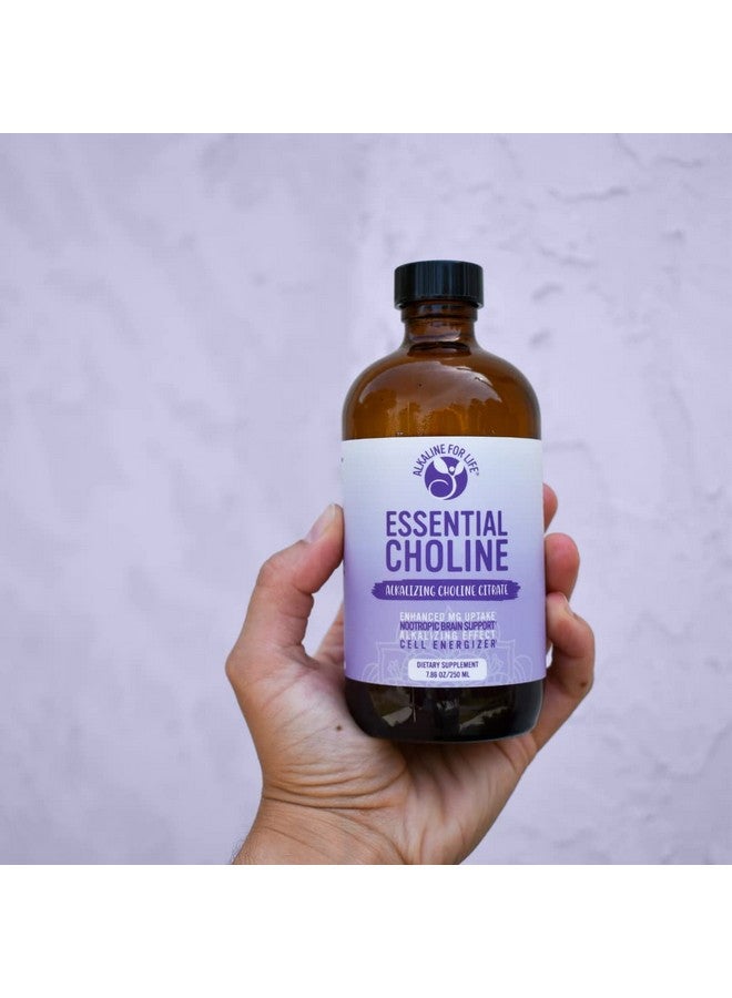 Alkaline for Life كولين سترات أساسي - مكملات كولين سائلة للدماغ والذاكرة والتركيز - 650 ملغ مكمل كولين - كولين سائل قلوي متاح حيوياً يعزز مكملات المغنيسيوم - Image 3