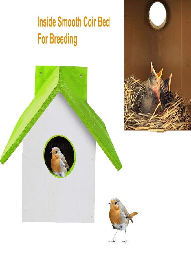LIVEONCE Wooden Bird House Color Green REQULAR - Image 4