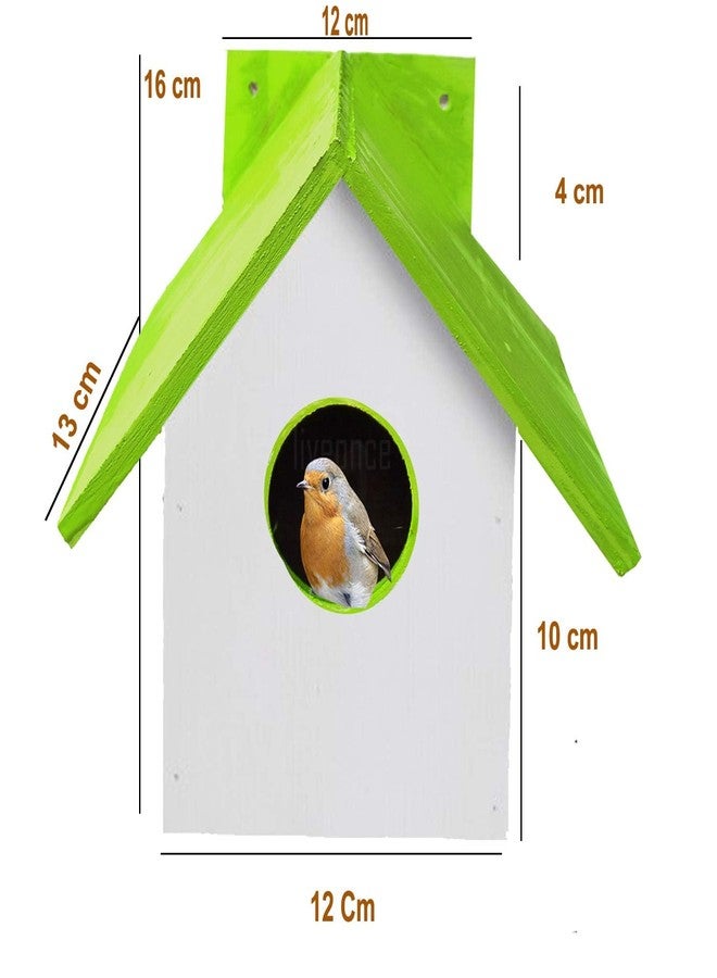 LIVEONCE Wooden Bird House Color Green REQULAR - Image 3