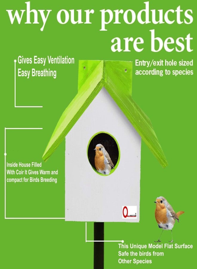 LIVEONCE Wooden Bird House Color Green REQULAR - Image 2