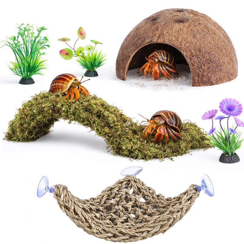 HERCOCCI HERCCOCCI Hermit Crab Accessories 6Pcs Hermit Crab Toys Coconut Shell Hut Climbing Hammock Artificial Plants for Hermit Crabs - Image 2