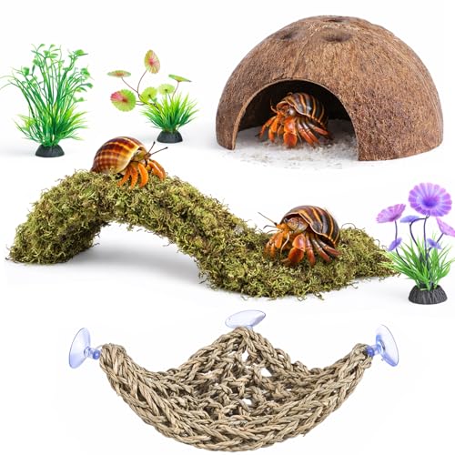 HERCOCCI HERCCOCCI Hermit Crab Accessories 6Pcs Hermit Crab Toys Coconut Shell Hut Climbing Hammock Artificial Plants for Hermit Crabs - Image 1