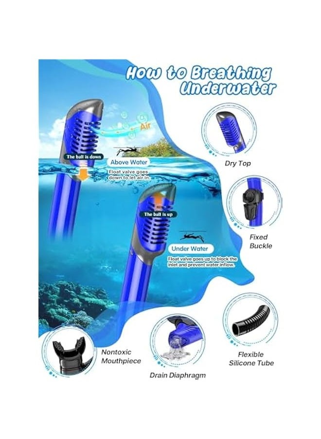 TRASSLE Mask Fins Snorkel Set Adults Men Women, Swim Goggles Panoramic View Anti-Fog Anti-Leak Dry Top Snorkel and Dive Flippers Kit with Gear Bag for Snorkeling Swimming Scuba Diving  - Image 3