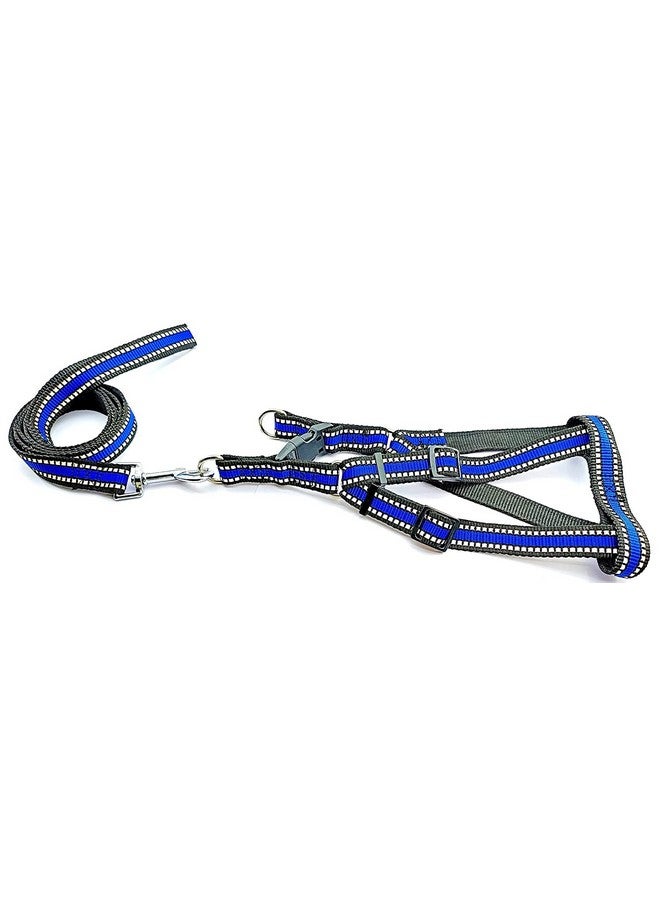 حزام كلب متوسط الحجم مع مقود، عاكس، مريح وقابل للتعديل، مجموعة حزام كلب بطول 0.75 بوصة، آمن ليلاً، للمشي في الهواء الطلق (أزرق) - Image 1