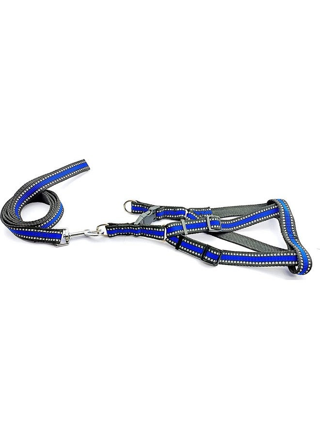 حزام كلب متوسط الحجم مع مقود، عاكس، مريح وقابل للتعديل، مجموعة حزام كلب بطول 0.75 بوصة، آمن ليلاً، للمشي في الهواء الطلق (أزرق) - Image 2