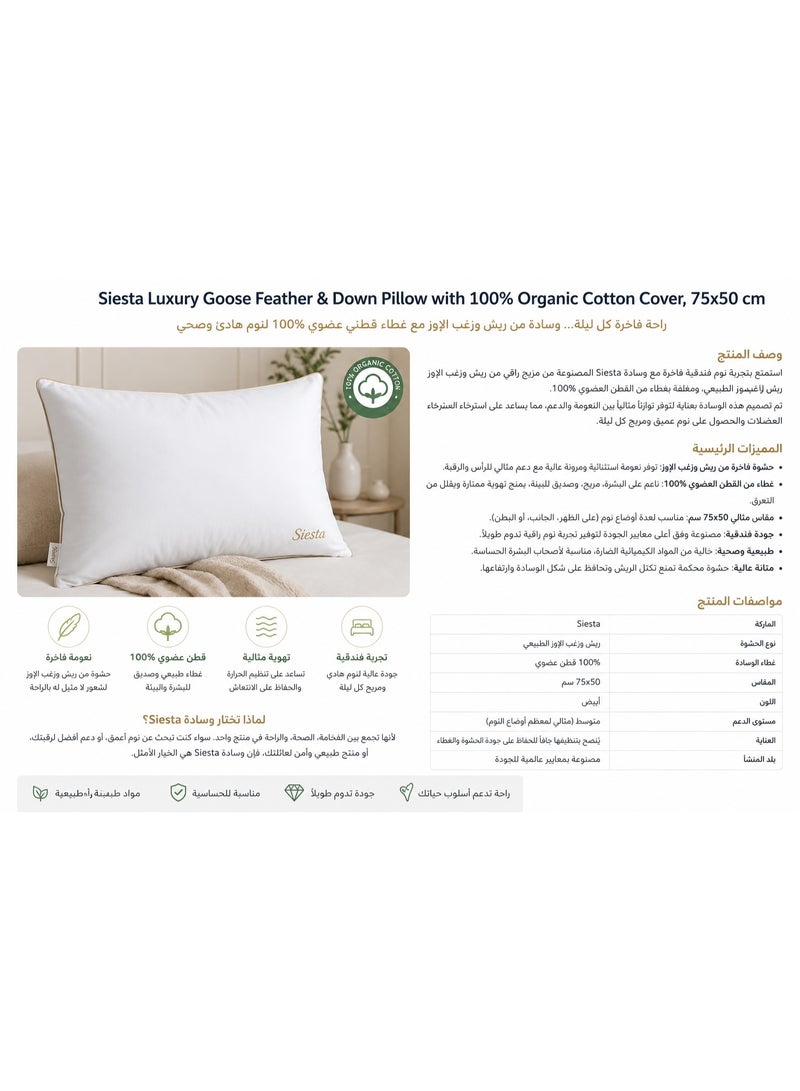 وسادة سييستا فاخرة من ريش الأوز والريش الناعم بغطاء قطني عضوي 100%، 75x50 سم - Image 5
