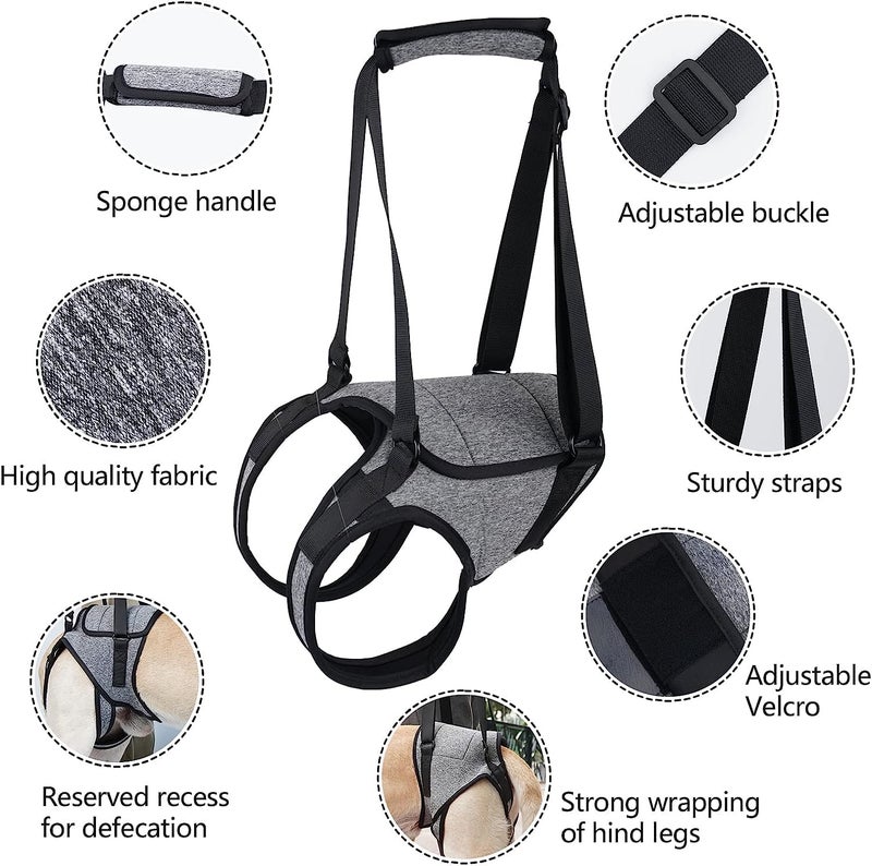 PETANGEL Dog Sling for Small Dogs Hind Leg Support to Help Rehabilitate The Hind Limbs of Elderly Dogs with Weak Hind Legs Disabilities & Injuries Dog Harness Helps Arthritis ACL Recovery (Size: M) - Image 2