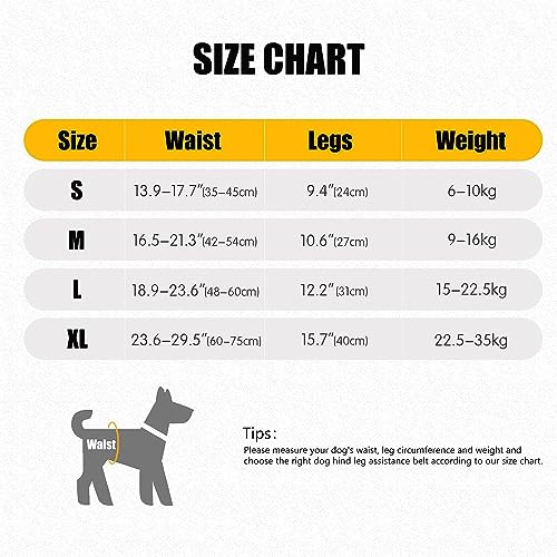 PETANGEL Dog Sling for Small Dogs Hind Leg Support to Help Rehabilitate The Hind Limbs of Elderly Dogs with Weak Hind Legs Disabilities & Injuries Dog Harness Helps Arthritis ACL Recovery (Size: M) - Image 3