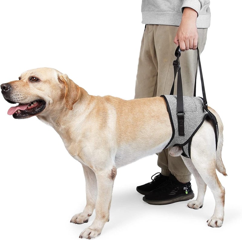 PETANGEL Dog Sling for Small Dogs Hind Leg Support to Help Rehabilitate The Hind Limbs of Elderly Dogs with Weak Hind Legs Disabilities & Injuries Dog Harness Helps Arthritis ACL Recovery (Size: M) - Image 1