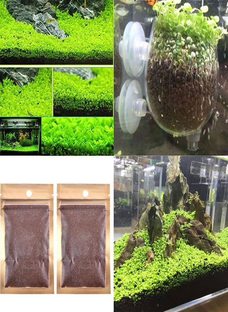 GGOOT 1 Bag Fish Tank Aquarium Plant Seeds Aquatics Green Leaves Carpet Water Grass Decor - L - Image 5