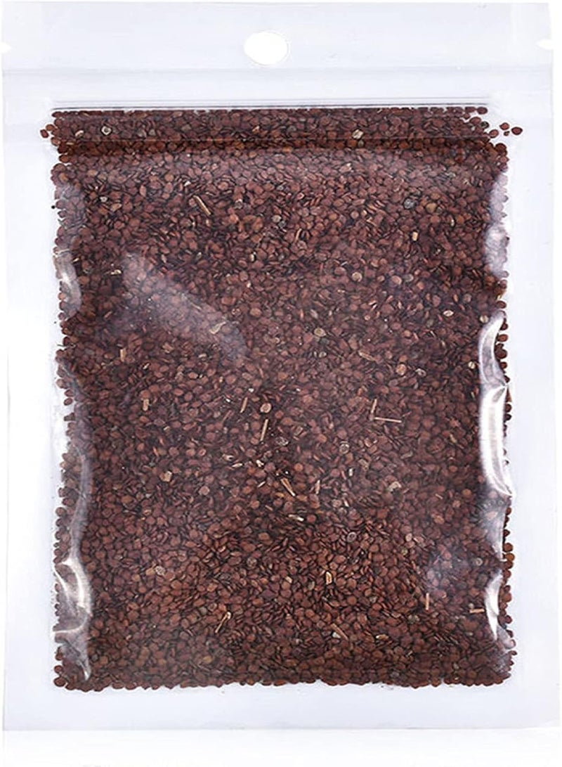 GGOOT 1 Bag Fish Tank Aquarium Plant Seeds Aquatics Green Leaves Carpet Water Grass Decor - L - Image 1