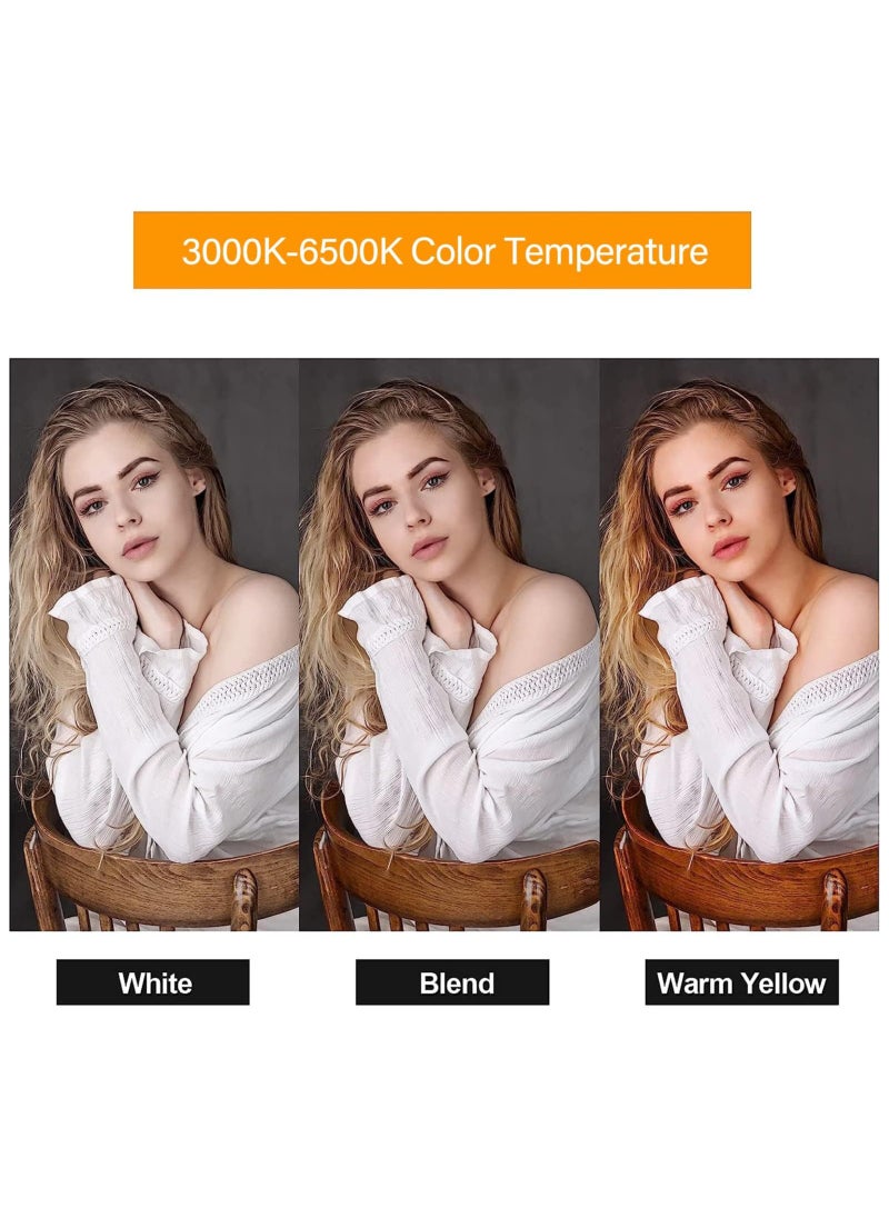 Softbox Photography Lighting Kit, Professional Photo Studio Lighting with 2x20x27.5in Soft Box | 2X 380W 3000-7000K E27 LED Bulb,Continuous Lighting Kit for Video Recording, Portraits Shooting