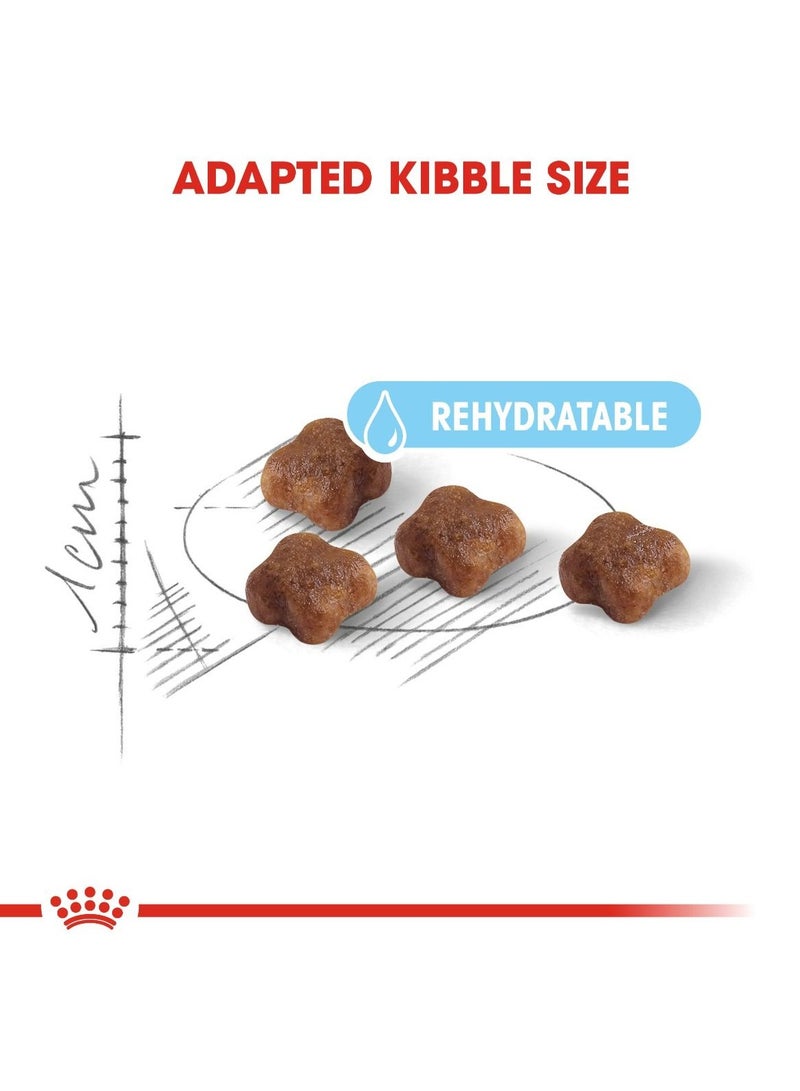 Royal Canin Feline Health Nutrition Mother and Babycat 2 KG - Image 2