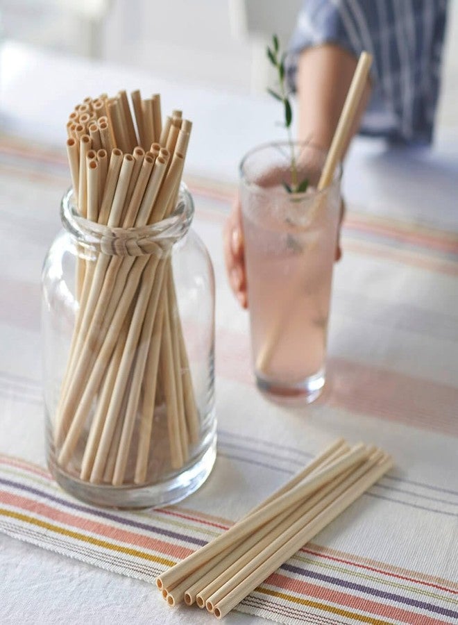Bambu Pack of 24 - Disposable Bamboo Straws, Biodegradable Eco Friendly Products, Single Use Bamboo Straws, Wilt Free and Strong Compostable - Image 2