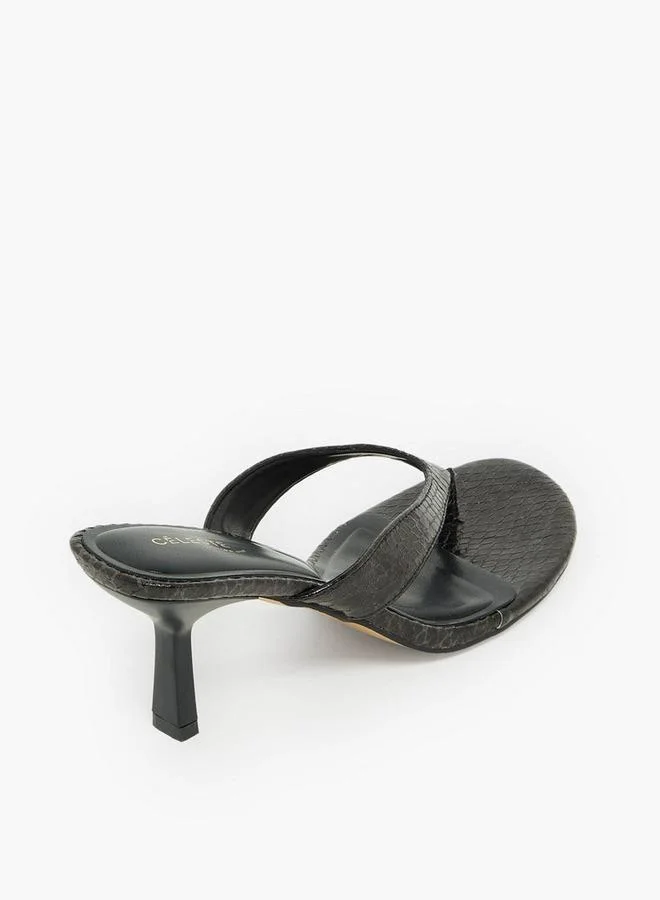 Celeste BLACK Women Stiletto Heel Sandals for Women | Best Price UAE