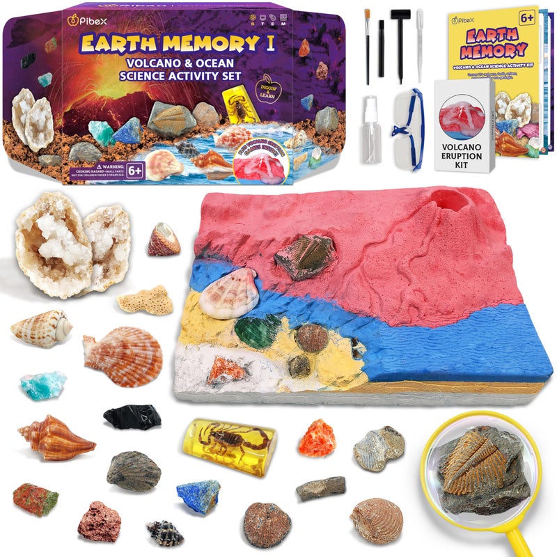 PIBEX Volcano Ocean Fossil Dig Kit Dig up 20 Real Fossils Rocks Shells Sea Snails with Eruption Experiments Earth Science Geology Kit for Kids STEM Toy Gift for Boys Girls Age 6812 - Image 3