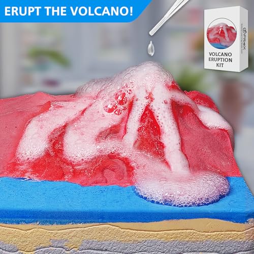 PIBEX Volcano Ocean Fossil Dig Kit Dig up 20 Real Fossils Rocks Shells Sea Snails with Eruption Experiments Earth Science Geology Kit for Kids STEM Toy Gift for Boys Girls Age 6812 - Image 5