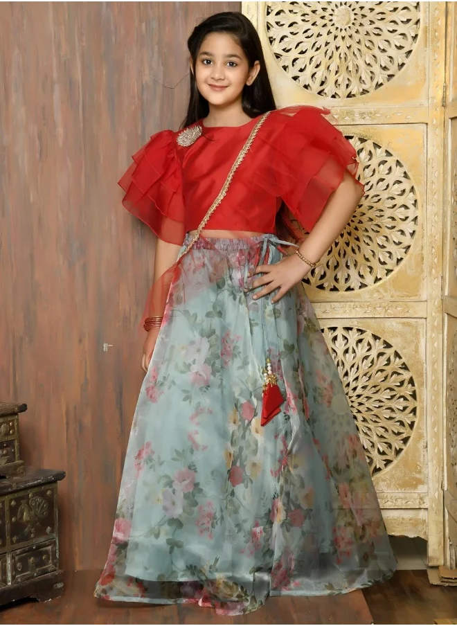 LILPICKS Stylish Frilled Choli with Printed Lehenga Set