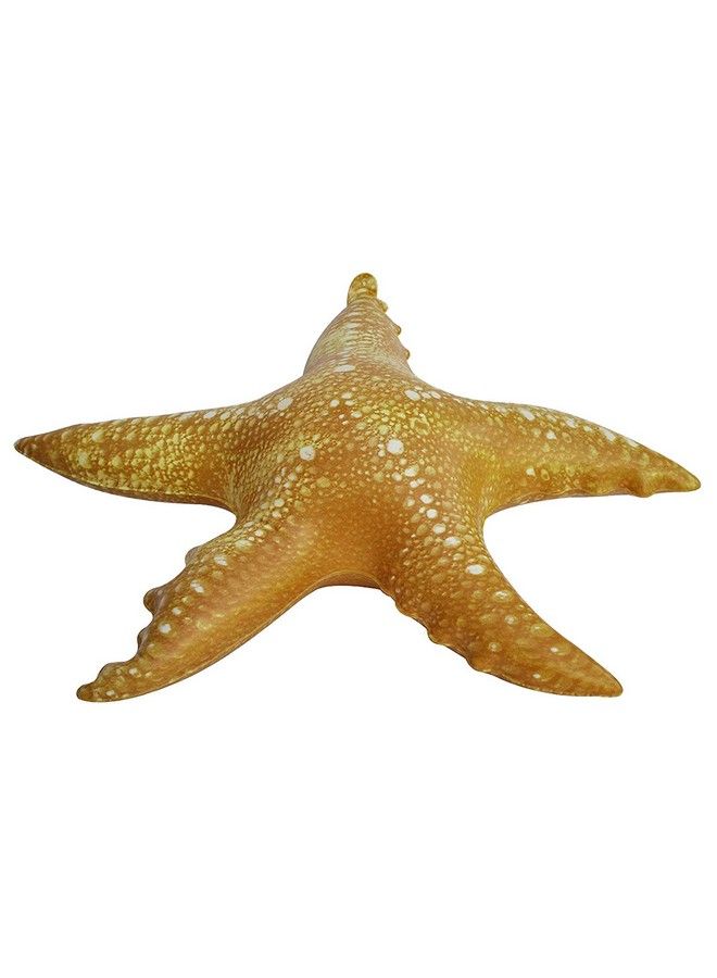 Jet Creations Inflatable Animals 20 Inch Wide Pack Of 4 Star Fish Party Pool Supplies Favors Birthday Gifts For Kids By Jet Creations Anstar4 Multi - Image 4