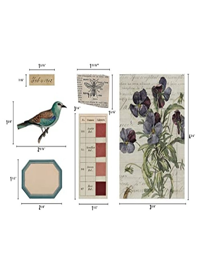 Tim Holtz Transparent Things 2 - Image 3