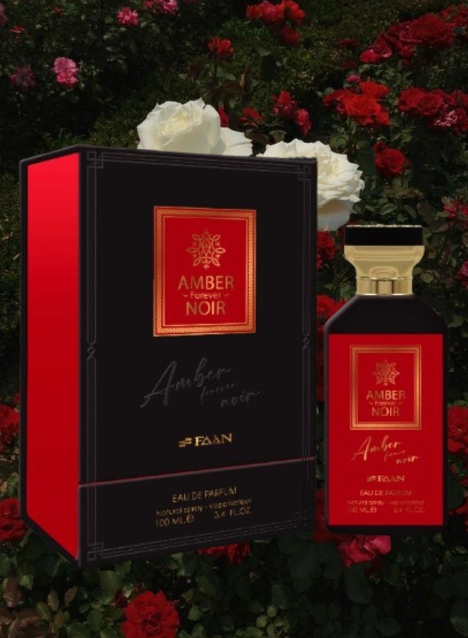 Faan 12 Pieces Amber Forever Noir Perfume 100ML - Image 2