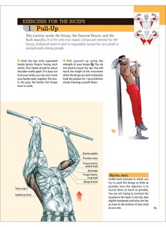 Delavier's Anatomy for Bigger, Stronger Arms  - Image 3