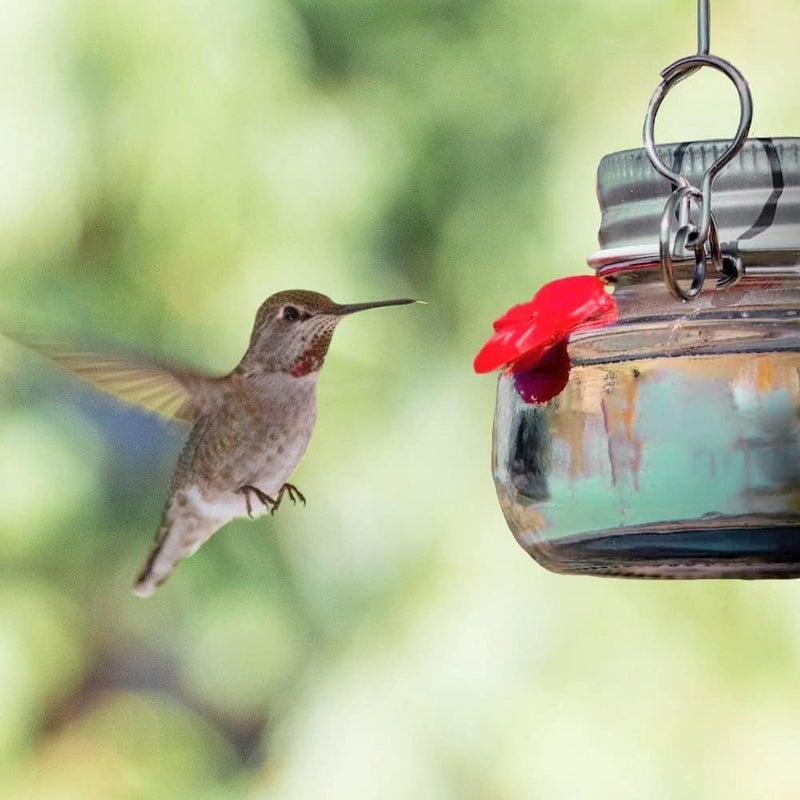 woobles Beautiful Mason Jar Hummingbird Feeder with Three Ports, Clear Little Bird Wild Birds Feeding Jar with Flower Feeding Ports, Portable Fluid Flower Hummingbird Feeder for Outdoor Hanging 500ml (1PCS) - Image 4