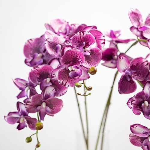 DUYONE 35 Inch Artificial Butterfly Orchid Flowers 4 Pcs Real Touch Orchid Fake Phalaenopsis Flowers Stem Plants for Wedding Home Decoration (Deep Purple 4pcs) - Image 4