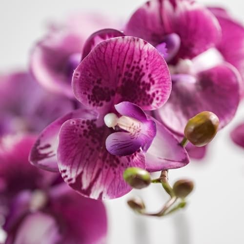 DUYONE 35 Inch Artificial Butterfly Orchid Flowers 4 Pcs Real Touch Orchid Fake Phalaenopsis Flowers Stem Plants for Wedding Home Decoration (Deep Purple 4pcs) - Image 2