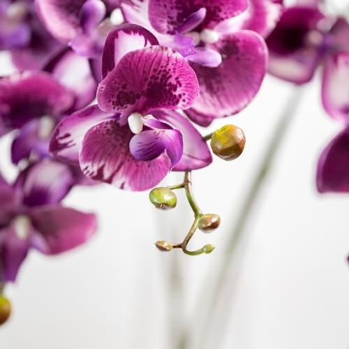 DUYONE 35 Inch Artificial Butterfly Orchid Flowers 4 Pcs Real Touch Orchid Fake Phalaenopsis Flowers Stem Plants for Wedding Home Decoration (Deep Purple 4pcs) - Image 5