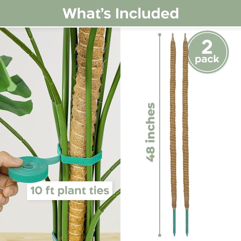 K-Brands 2 Pack 48'' Bendable Moss Pole Monstera Plant Support for Climbing Indoor Plants - Stakes for Potted Climbers - Tall Sticks Indoor Trellis for Houseplants - Accessories for Monstera Pot - Image 2